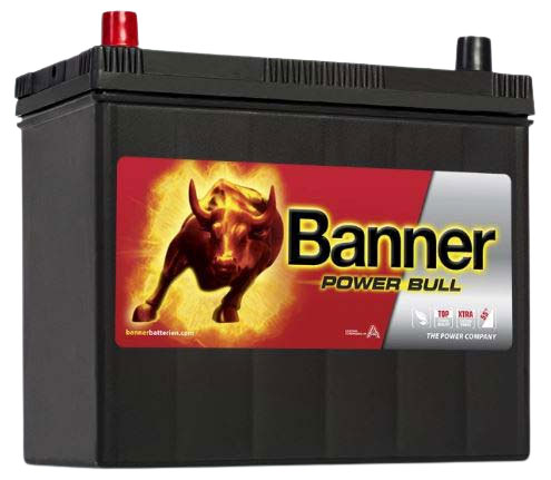 BANNER POWER BULL P4524 45AMP